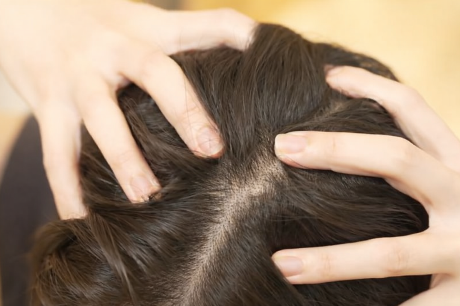 Cactevo 使用方法