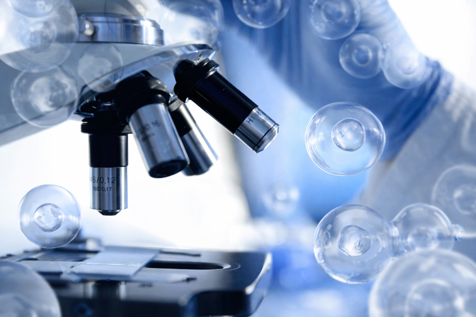 幹細胞培養上清液